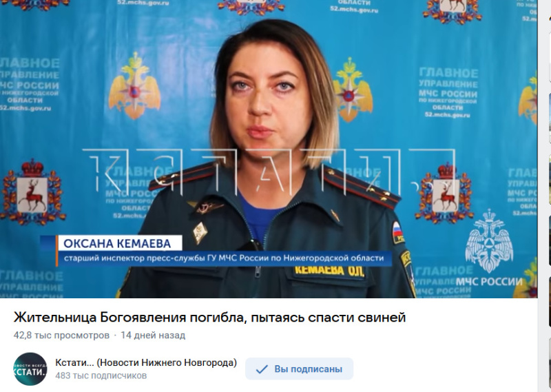 Жительница Богоявления погибла, пытаясь спасти свиней